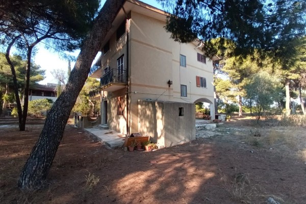 Appartamento In Villa In Affit