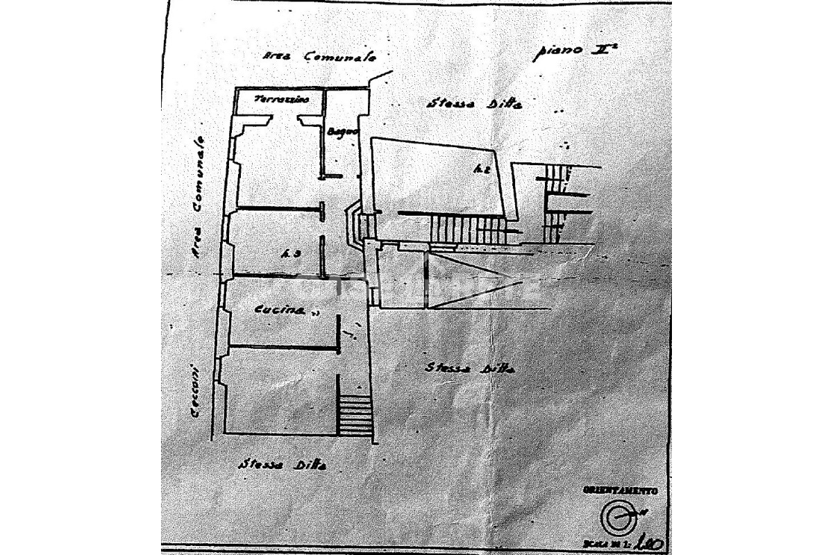 Agenzia Immobiliare - Planimetria 1