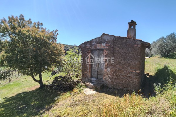 Terreno