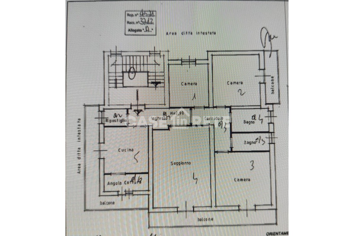 Agenzia Immobiliare - Planimetria 1