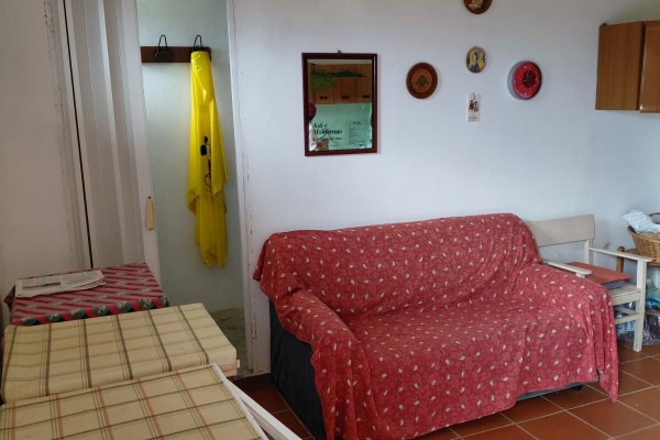 Casale