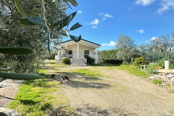 Villa In Vendita A Corato
