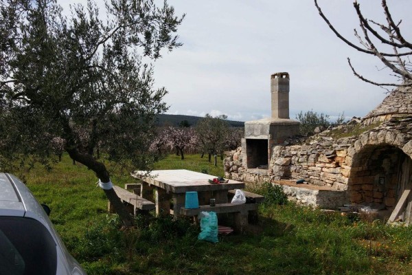 Terreno Agricolo In Vendita A 