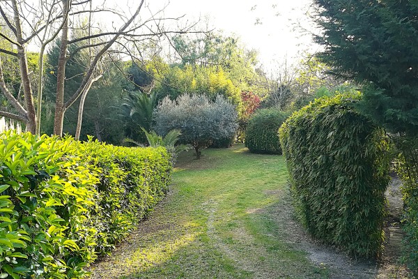 Terreno Agricolo