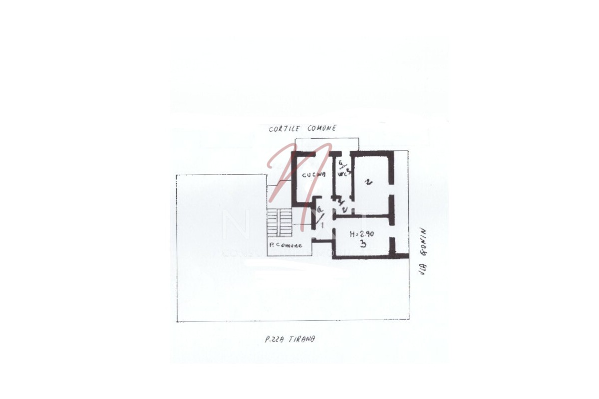 Agenzia Immobiliare NEXT SRLS - Planimetria 1