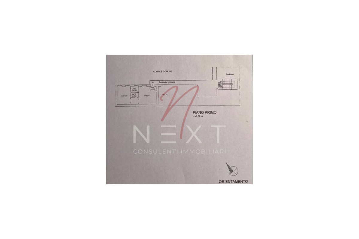 Agenzia Immobiliare NEXT SRLS - Planimetria 1
