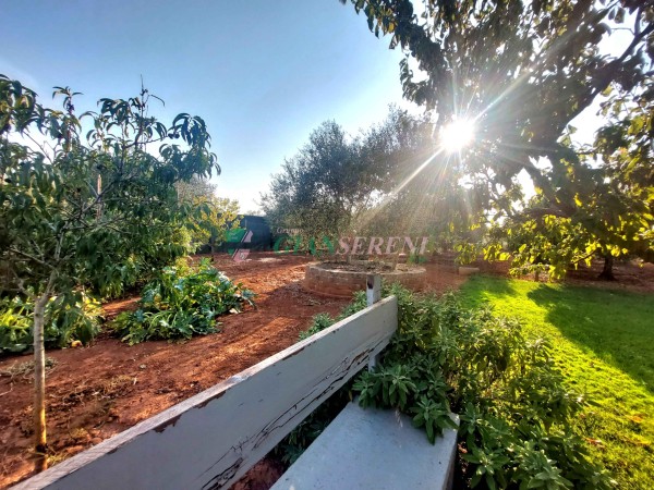 FOLLONICA-LOCALITA' PALAZZI