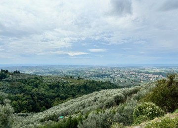 Lamporecchio sulle splendide c