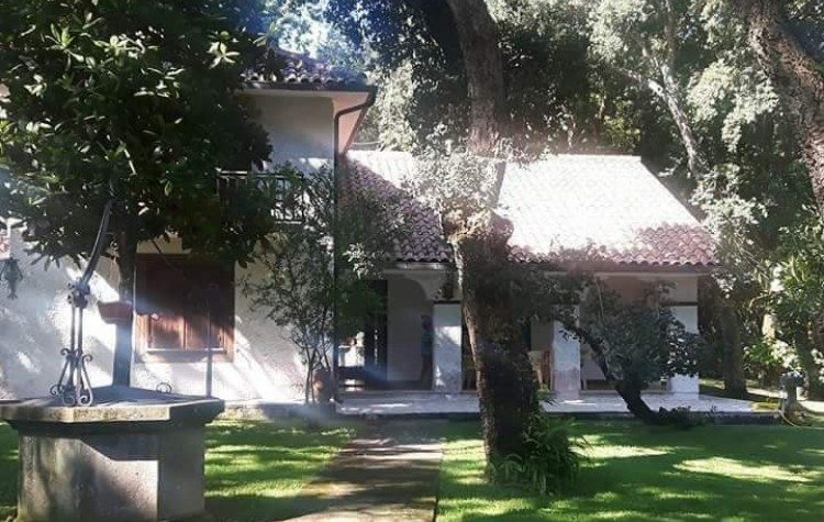 Immagine 1