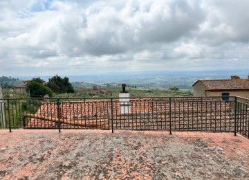 Vinci bellissima frazione coll