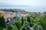 Immagine 1 