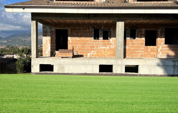 Immagine 2