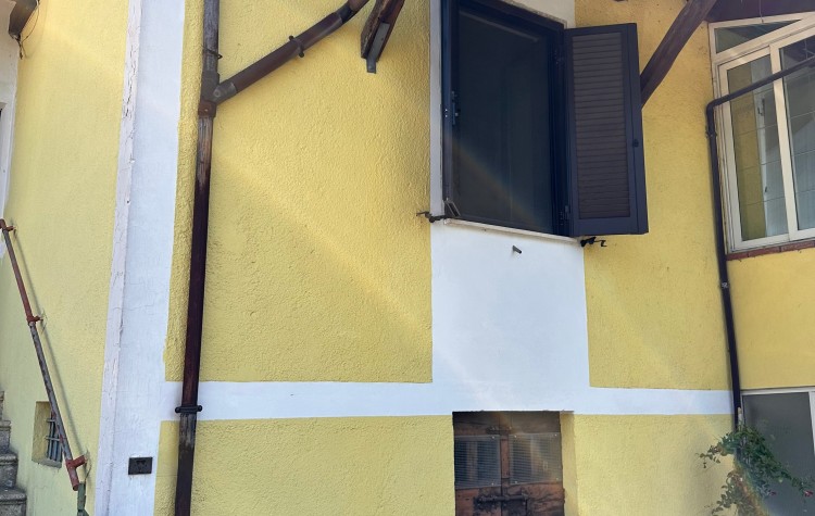 Immagine 2