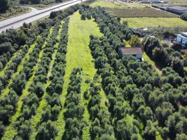 Terreno agricolo di 10000 mq c...