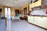 Immagine 6 
