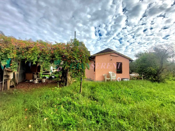 FOLLONICA LOC. PALAZZI