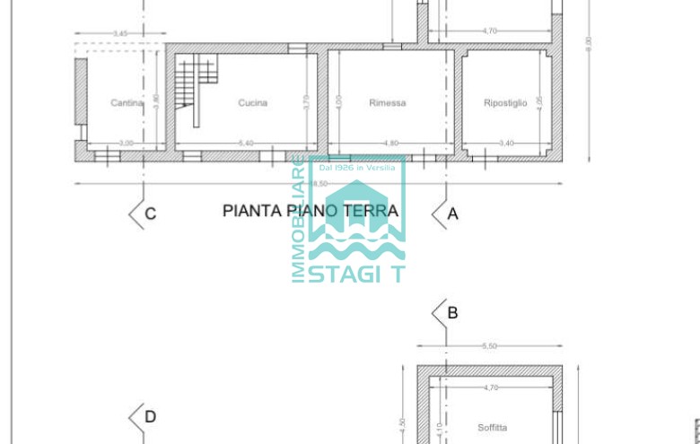 Immagine 3 