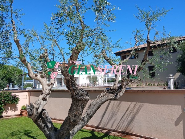 Porzione di villa trifamiliare...