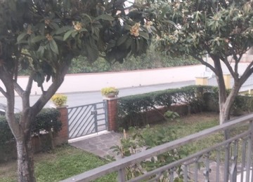 Cerreto guidi terratetto angol