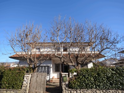 Foto immobile Villa Bifamiliare in vendita, Cinquale