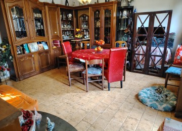 Cerreto guidi, terratetto con 