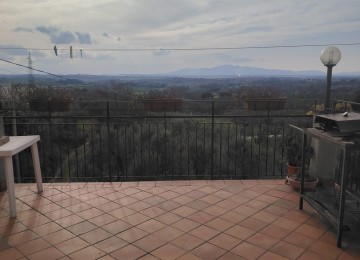 Vinci porzione di colonica. 