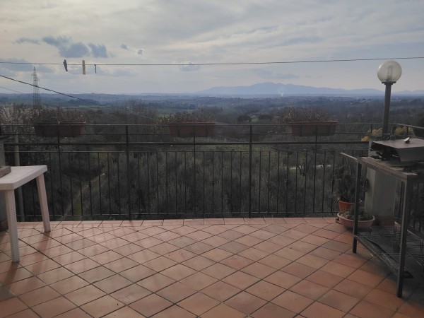 Vinci porzione di colonica. 