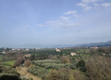 Lamporecchio primissima campag