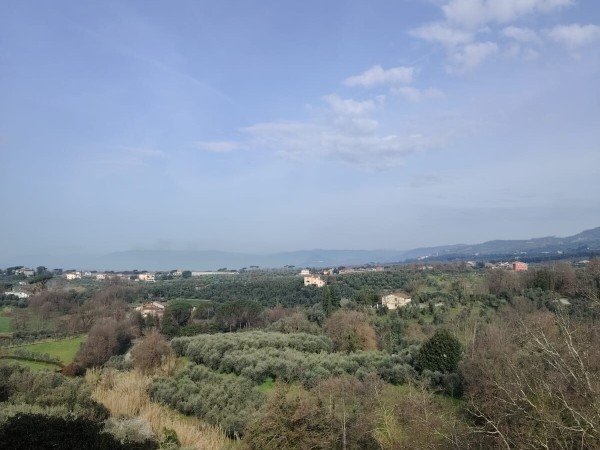 Lamporecchio primissima campag