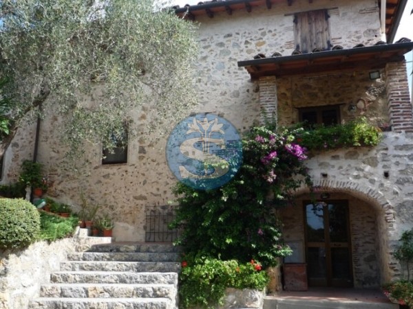 Rustico - casolare - colonica 