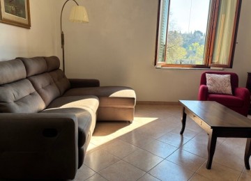 Vinci paese, ingresso singolo 