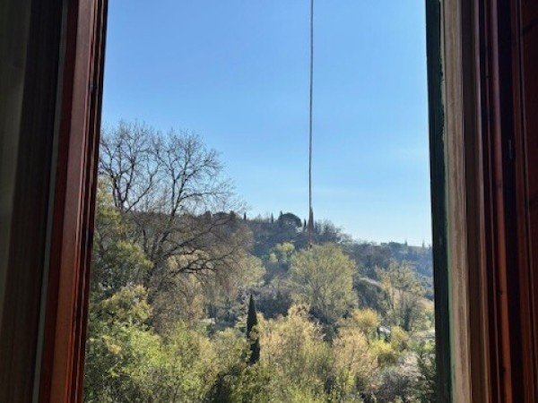 Vinci paese, ingresso singolo 