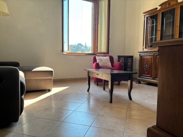 Vinci paese, ingresso singolo 