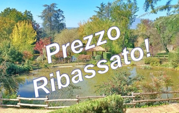 Immagine 1 