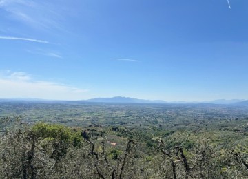 Vinci località faltognano, ol