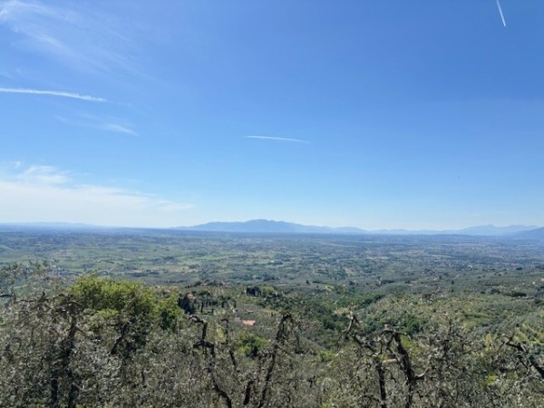 Vinci località faltognano, ol