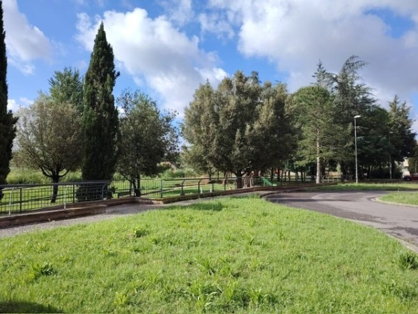 Vinci capoluogo, ottimo per in