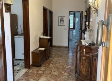 Vinci località vitolini. 