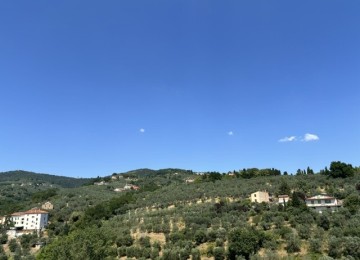 Vinci località vitolini. 