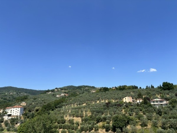 Vinci località vitolini. 