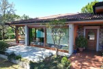 Immagine 3 