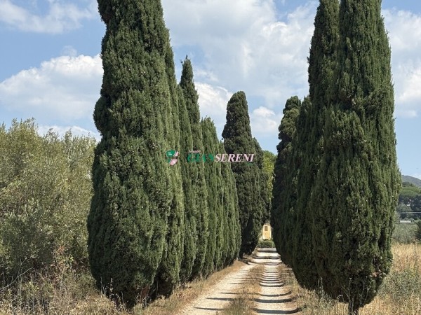 Tra il mare di San Vincenzo e ...