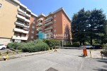 Immagine 27 