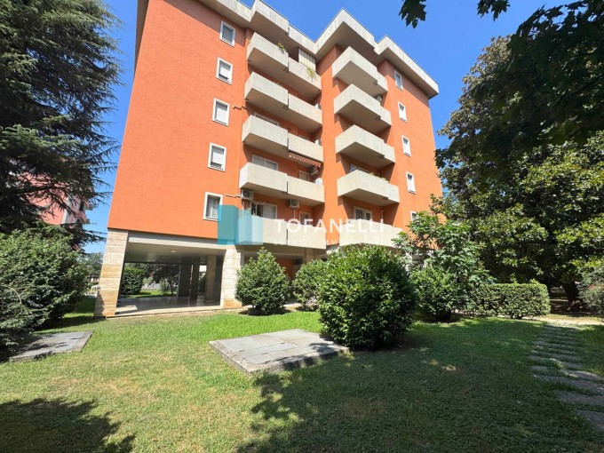 Ampio trilocale con box e cant