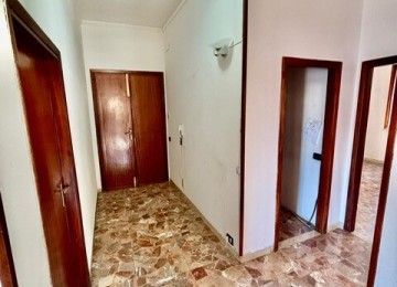 Sovigliana, piano primo. 