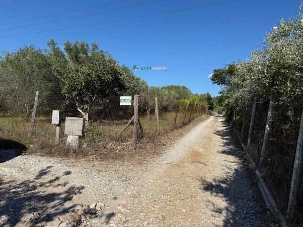 Terreno agricolo di 2000 mq co...