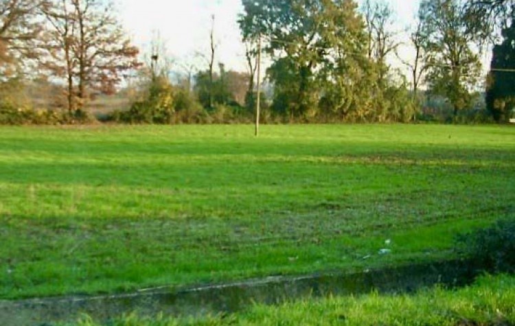Immagine 1 