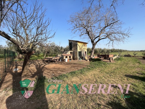 Terreno con annesso condonato ...