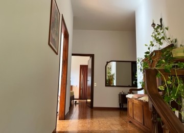 Vinci