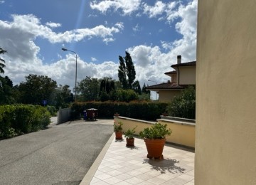 Vinci terratetto libero su tre